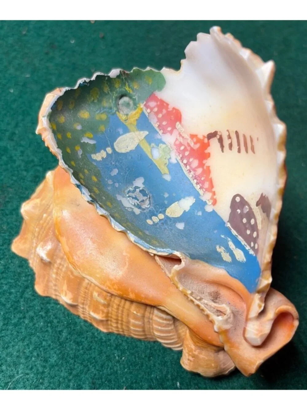 Hand-Painted Vintage Conch Shell Souvenir Coastal Nautical Landscape Scene